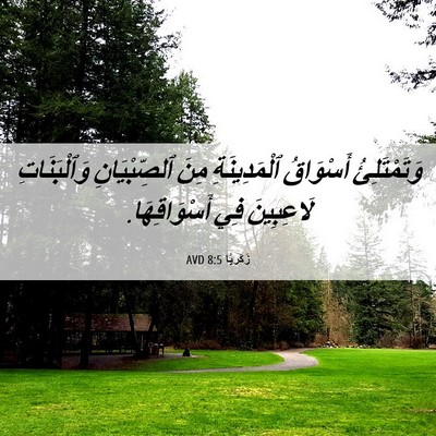 Picture 06 - زَكَريَّا 8:5 AVD - وَتَمْتَلِئُ أَسْوَاقُ - Bible Verse Picture
