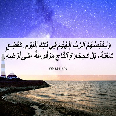 Picture 06 - زَكَريَّا 9:16 AVD - وَيُخَلِّصُهُمُ ٱلرَّبُّ - Bible Verse Picture