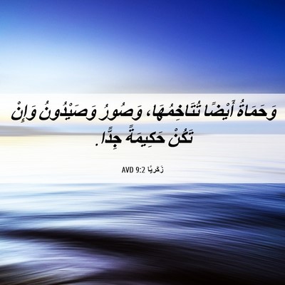 Picture 06 - زَكَريَّا 9:2 AVD - وَحَمَاةُ أَيْضًا - Bible Verse Picture