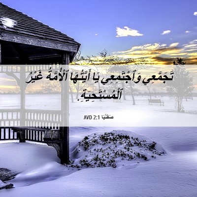 Picture 06 - صَفَنْيَا 2:1 AVD - تَجَمَّعِي وَٱجْتَمِعِي - Bible Verse Picture