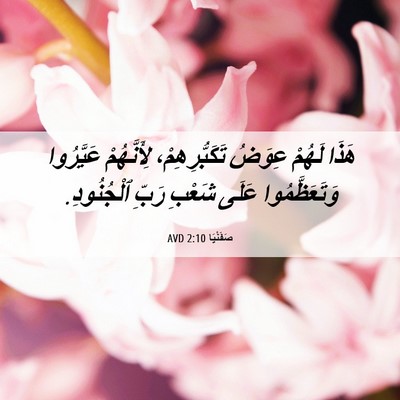 Picture 06 - صَفَنْيَا 2:10 AVD - هَذَا لَهُمْ عِوَضُ - Bible Verse Picture