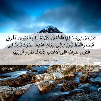 Picture 06 - صَفَنْيَا 2:14 AVD - فَتَرْبُضُ فِي وَسَطِهَا - Bible Verse Picture