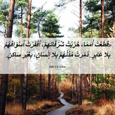 Picture 06 - صَفَنْيَا 3:6 AVD - «قَطَعْتُ أُمَمًا، - Bible Verse Picture