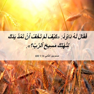 Picture 06 - صَمُوئِيلَ ٱلثَّانِي 1:14 AVD - فَقَالَ لَهُ دَاوُدُ: - Bible Verse Picture
