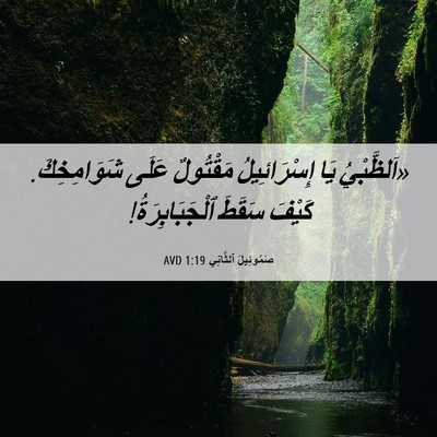 Picture 06 - صَمُوئِيلَ ٱلثَّانِي 1:19 AVD - «اَلظَّبْيُ يَا - Bible Verse Picture