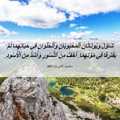 Picture 06 - صَمُوئِيلَ ٱلثَّانِي 1:23 AVD - شَاوُلُ وَيُونَاثَانُ - Bible Verse Picture