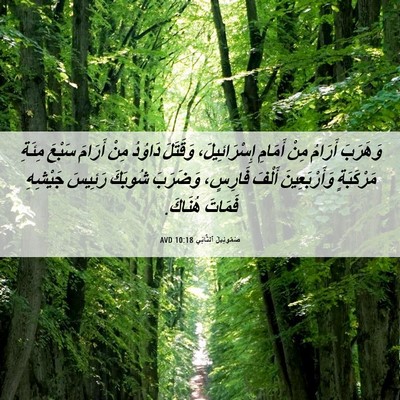 Picture 06 - صَمُوئِيلَ ٱلثَّانِي 10:18 AVD - وَهَرَبَ أَرَامُ مِنْ - Bible Verse Picture