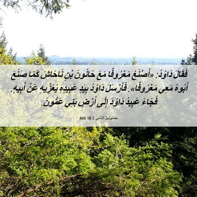Picture 06 - صَمُوئِيلَ ٱلثَّانِي 10:2 AVD - فَقَالَ دَاوُدُ: «أَصْنَعُ - Bible Verse Picture