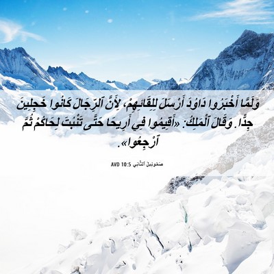 Picture 06 - صَمُوئِيلَ ٱلثَّانِي 10:5 AVD - وَلَمَّا أَخْبَرُوا - Bible Verse Picture