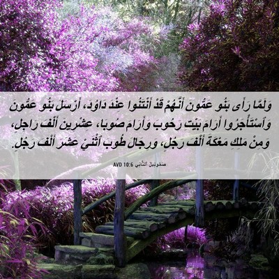 Picture 06 - صَمُوئِيلَ ٱلثَّانِي 10:6 AVD - وَلَمَّا رَأَى بَنُو - Bible Verse Picture
