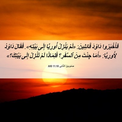 Picture 06 - صَمُوئِيلَ ٱلثَّانِي 11:10 AVD - فأَخْبَرُوا دَاوُدَ - Bible Verse Picture