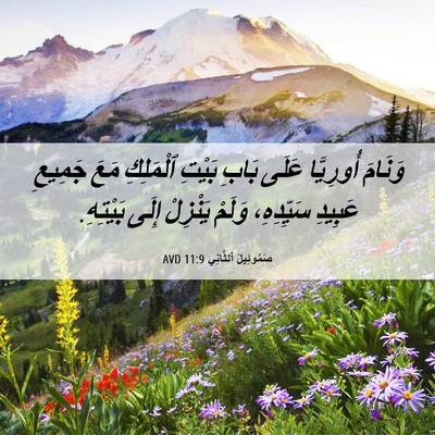 Picture 06 - صَمُوئِيلَ ٱلثَّانِي 11:9 AVD - وَنَامَ أُورِيَّا عَلَى - Bible Verse Picture