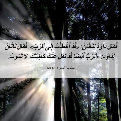 Picture 06 - صَمُوئِيلَ ٱلثَّانِي 12:13 AVD - فَقَالَ دَاوُدُ - Bible Verse Picture