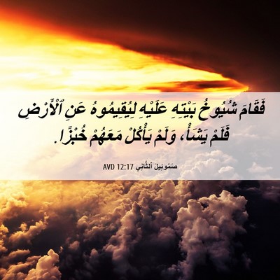 Picture 06 - صَمُوئِيلَ ٱلثَّانِي 12:17 AVD - فَقَامَ شُيُوخُ بَيْتِهِ - Bible Verse Picture
