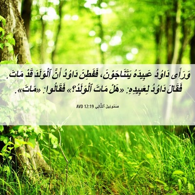 Picture 06 - صَمُوئِيلَ ٱلثَّانِي 12:19 AVD - وَرَأَى دَاوُدُ عَبِيدَهُ - Bible Verse Picture