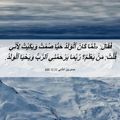 Picture 06 - صَمُوئِيلَ ٱلثَّانِي 12:22 AVD - فَقَالَ: «لَمَّا كَانَ - Bible Verse Picture