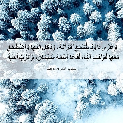 Picture 06 - صَمُوئِيلَ ٱلثَّانِي 12:24 AVD - وَعَزَّى دَاوُدُ - Bible Verse Picture