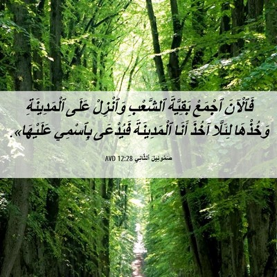 Picture 06 - صَمُوئِيلَ ٱلثَّانِي 12:28 AVD - فَٱلْآنَ ٱجْمَعْ - Bible Verse Picture