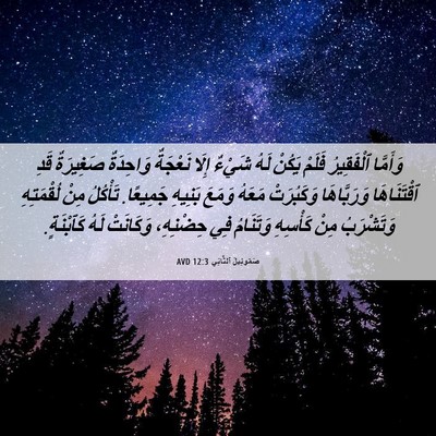 Picture 06 - صَمُوئِيلَ ٱلثَّانِي 12:3 AVD - وَأَمَّا ٱلْفَقِيرُ - Bible Verse Picture