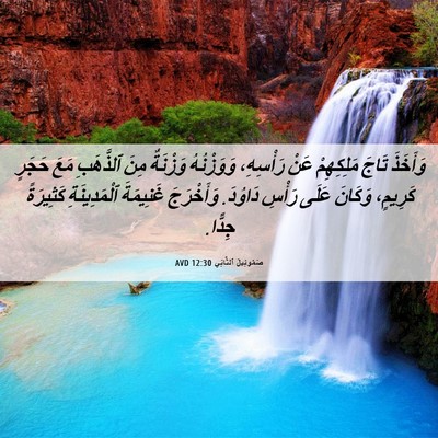 Picture 06 - صَمُوئِيلَ ٱلثَّانِي 12:30 AVD - وَأَخَذَ تَاجَ مَلِكِهِمْ - Bible Verse Picture