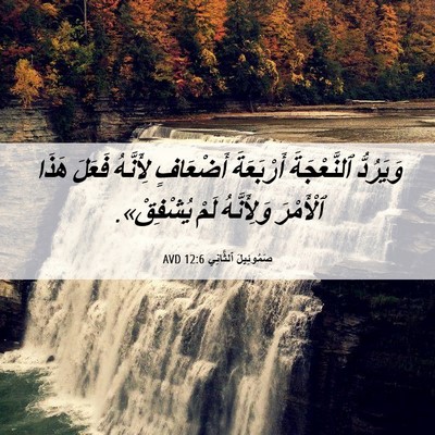 Picture 06 - صَمُوئِيلَ ٱلثَّانِي 12:6 AVD - وَيَرُدُّ ٱلنَّعْجَةَ - Bible Verse Picture