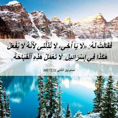 Picture 06 - صَمُوئِيلَ ٱلثَّانِي 13:12 AVD - فَقَالَتْ لَهُ: «لَا يَا - Bible Verse Picture