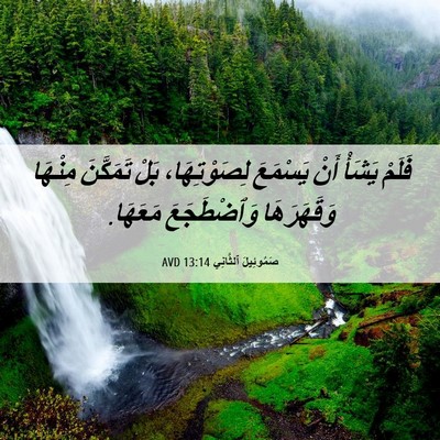 Picture 06 - صَمُوئِيلَ ٱلثَّانِي 13:14 AVD - فَلَمْ يَشَأْ أَنْ - Bible Verse Picture