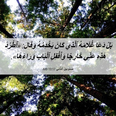 Picture 06 - صَمُوئِيلَ ٱلثَّانِي 13:17 AVD - بَلْ دَعَا غُلَامَهُ - Bible Verse Picture