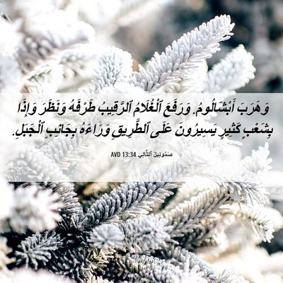 Picture 06 - صَمُوئِيلَ ٱلثَّانِي 13:34 AVD - وَهَرَبَ أَبْشَالُومُ. - Bible Verse Picture