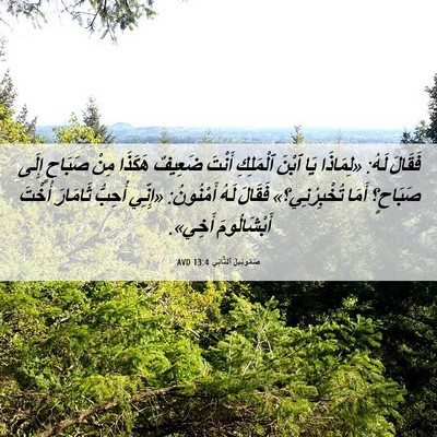 Picture 06 - صَمُوئِيلَ ٱلثَّانِي 13:4 AVD - فَقَالَ لَهُ: «لِمَاذَا - Bible Verse Picture