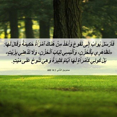 Picture 06 - صَمُوئِيلَ ٱلثَّانِي 14:2 AVD - فَأَرْسَلَ يُوآبُ إِلَى - Bible Verse Picture