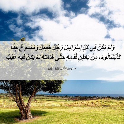 Picture 06 - صَمُوئِيلَ ٱلثَّانِي 14:25 AVD - وَلَمْ يَكُنْ فِي كُلِّ - Bible Verse Picture