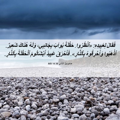 Picture 06 - صَمُوئِيلَ ٱلثَّانِي 14:30 AVD - فَقَالَ لِعَبِيدِهِ: - Bible Verse Picture