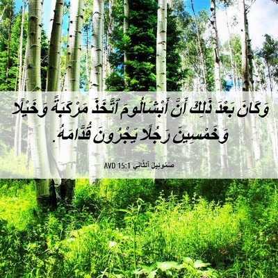 Picture 06 - صَمُوئِيلَ ٱلثَّانِي 15:1 AVD - وَكَانَ بَعْدَ ذَلِكَ - Bible Verse Picture
