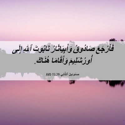 Picture 06 - صَمُوئِيلَ ٱلثَّانِي 15:29 AVD - فَأَرْجَعَ صَادُوقُ - Bible Verse Picture