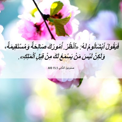 Picture 06 - صَمُوئِيلَ ٱلثَّانِي 15:3 AVD - فَيَقُولُ أَبْشَالُومُ - Bible Verse Picture