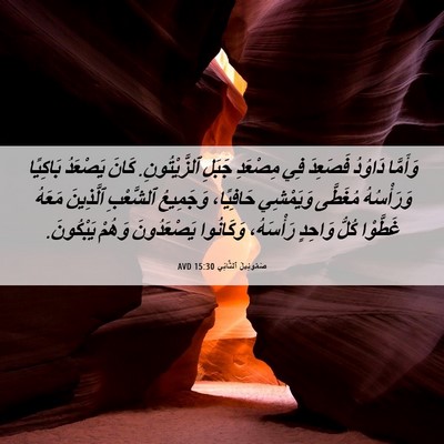 Picture 06 - صَمُوئِيلَ ٱلثَّانِي 15:30 AVD - وَأَمَّا دَاوُدُ فَصَعِدَ - Bible Verse Picture