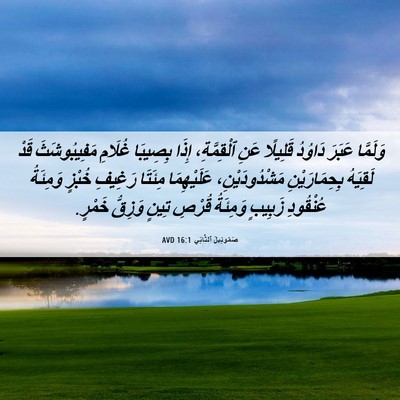 Picture 06 - صَمُوئِيلَ ٱلثَّانِي 16:1 AVD - وَلَمَّا عَبَرَ دَاوُدُ - Bible Verse Picture