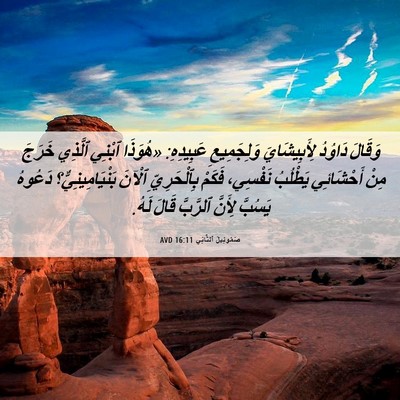 Picture 06 - صَمُوئِيلَ ٱلثَّانِي 16:11 AVD - وَقَالَ دَاوُدُ - Bible Verse Picture