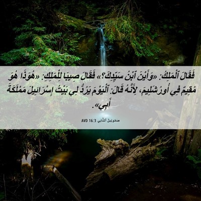 Picture 06 - صَمُوئِيلَ ٱلثَّانِي 16:3 AVD - فَقَالَ ٱلْمَلِكُ: - Bible Verse Picture