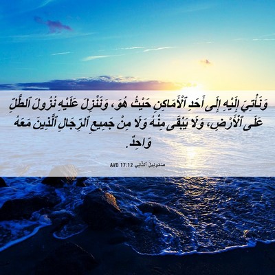 Picture 06 - صَمُوئِيلَ ٱلثَّانِي 17:12 AVD - وَنَأْتِيَ إِلَيْهِ إِلَى - Bible Verse Picture