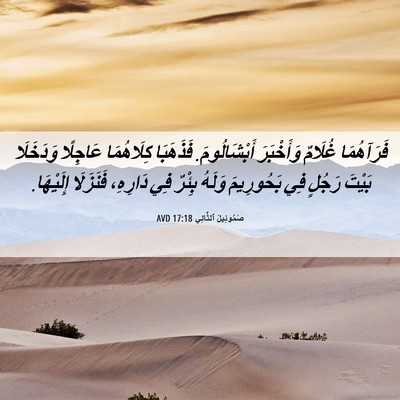 Picture 06 - صَمُوئِيلَ ٱلثَّانِي 17:18 AVD - فَرَآهُمَا غُلَامٌ - Bible Verse Picture