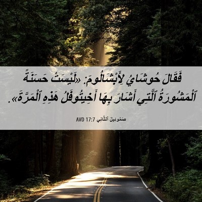 Picture 06 - صَمُوئِيلَ ٱلثَّانِي 17:7 AVD - فَقَالَ حُوشَايُ - Bible Verse Picture