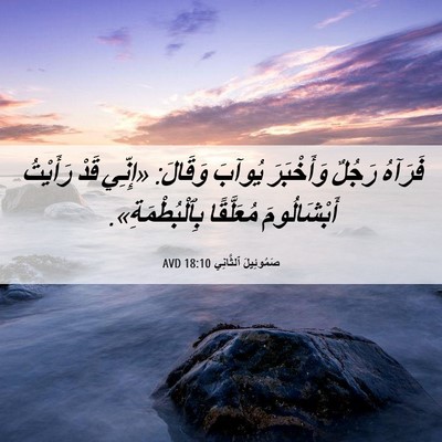 Picture 06 - صَمُوئِيلَ ٱلثَّانِي 18:10 AVD - فَرَآهُ رَجُلٌ وَأَخْبَرَ - Bible Verse Picture