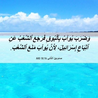 Picture 06 - صَمُوئِيلَ ٱلثَّانِي 18:16 AVD - وَضَرَبَ يُوآبُ - Bible Verse Picture