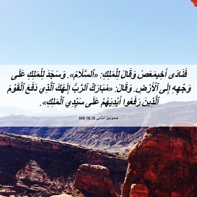 Picture 06 - صَمُوئِيلَ ٱلثَّانِي 18:28 AVD - فَنَادَى أَخِيمَعَصُ - Bible Verse Picture