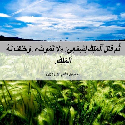 Picture 06 - صَمُوئِيلَ ٱلثَّانِي 19:23 AVD - ثُمَّ قَالَ ٱلْمَلِكُ - Bible Verse Picture