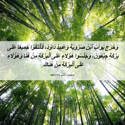 Picture 06 - صَمُوئِيلَ ٱلثَّانِي 2:13 AVD - وَخَرَجَ يُوآبُ ٱبْنُ - Bible Verse Picture