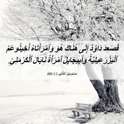 Picture 06 - صَمُوئِيلَ ٱلثَّانِي 2:2 AVD - فَصَعِدَ دَاوُدُ إِلَى - Bible Verse Picture