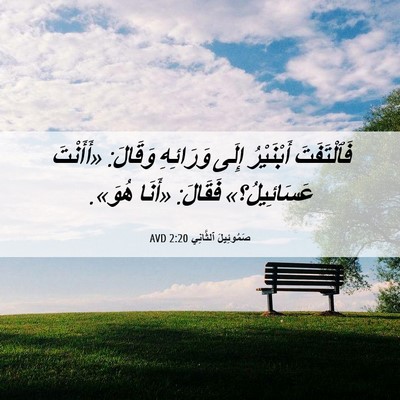 Picture 06 - صَمُوئِيلَ ٱلثَّانِي 2:20 AVD - فَٱلْتَفَتَ أَبْنَيْرُ - Bible Verse Picture